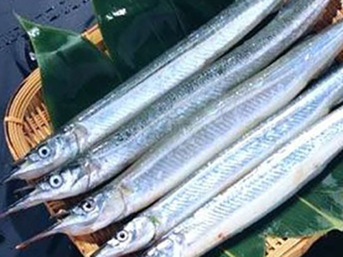 刀魚